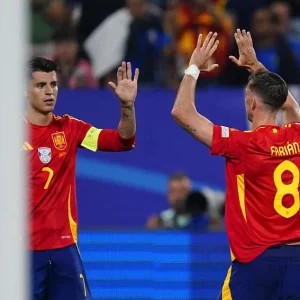 Denmark/Spain video highlights (1-2), La Roja top the group!