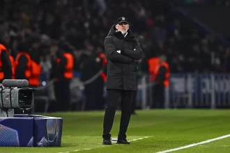 PSG/Brest - Roy: “I want to remember my team's magnificent run”.