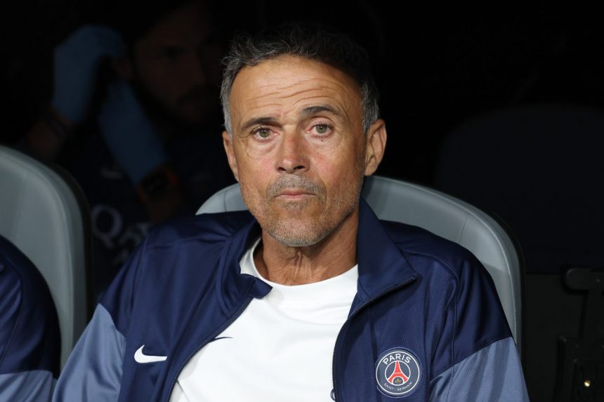 PSG/Bayern Munich - Luis Enrique on Refereeing, victory and team spirit  