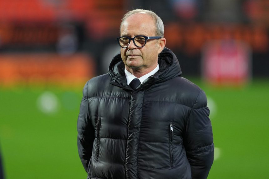 Luis Campos reveals the main points of PSG's transfer window   Luis Campos reveals the main points of PSG's transfer window