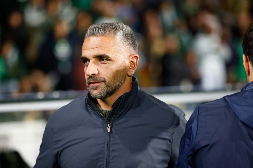 Sporting CP vs PSG - Rui Borges provides the keys to a great challenge  